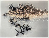 FAIRY LIGHTS X1200 LED CRISP WHITE