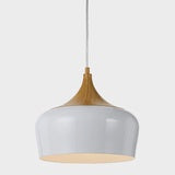POLK 30 PENDANT PE30-OKWH